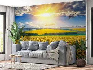 Sale Zonnebloemen Veld met Opkomende Zon fotobehang Bloemen