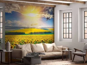 Sale Zonnebloemen Veld met Opkomende Zon fotobehang Bloemen