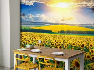 Sale Zonnebloemen Veld met Opkomende Zon fotobehang Bloemen