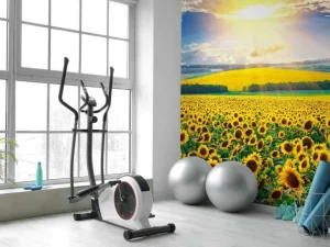 Sale Zonnebloemen Veld met Opkomende Zon fotobehang Bloemen