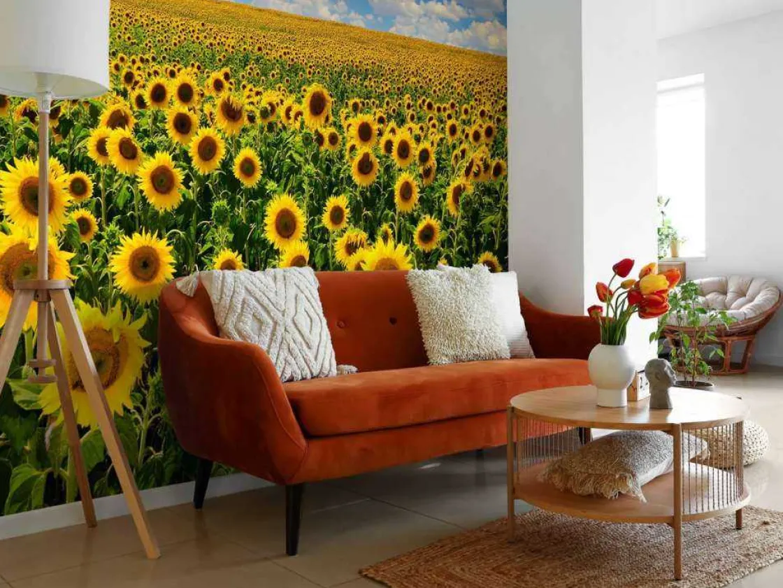 zonnebloemveld_onder_een__2.webp Sale Zonnebloemveld onder een heldere lucht fotobehang Bloemen