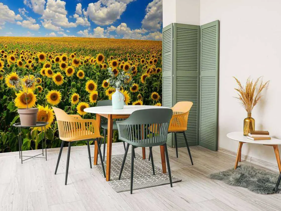 zonnebloemveld_onder_een__3.webp Sale Zonnebloemveld onder een heldere lucht fotobehang Bloemen