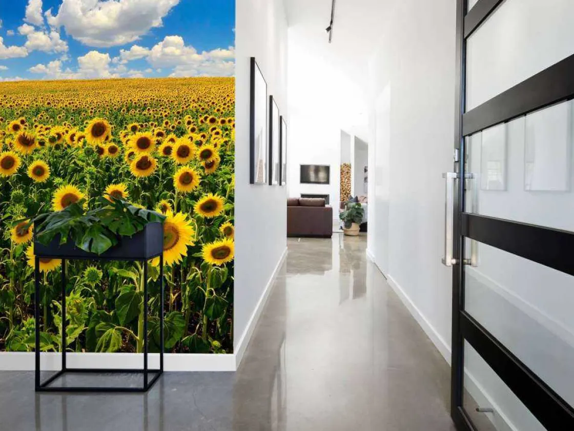 zonnebloemveld_onder_een__4.webp Sale Zonnebloemveld onder een heldere lucht fotobehang Bloemen
