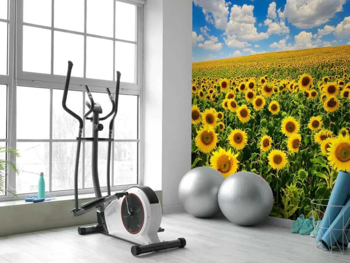 zonnebloemveld_onder_een__7.webp Sale Zonnebloemveld onder een heldere lucht fotobehang Bloemen
