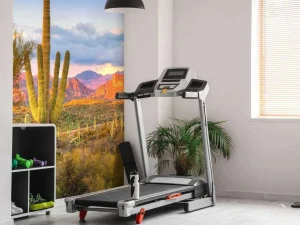 Discount Zonsondergang in een steppe fotobehang Tienerkamer | Bloemen