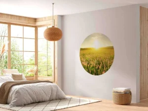 Fashion Zonsopkomst bij een bloemenveld fotobehang Bloemen