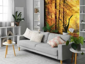 Sale Zonsopkomst in het bos fotobehang Bloemen