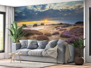 Best Zonsopkomst op de Veluwe fotobehang Bloemen
