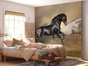 Online Zwart & Wit Paard op Gras fotobehang Dieren