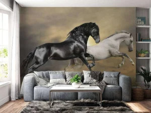 Online Zwart & Wit Paard op Gras fotobehang Dieren