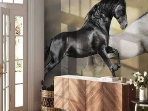 Online Zwart & Wit Paard op Gras fotobehang Dieren