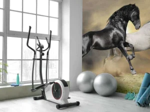 Online Zwart & Wit Paard op Gras fotobehang Dieren