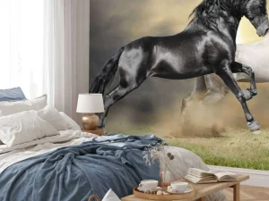 Online Zwart & Wit Paard op Gras fotobehang Dieren