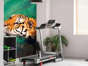 Fashion Zwemmende tijger fotobehang Dieren